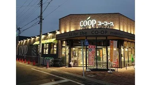 4LDK Property Kofu City Yamanashi Prefecture (14)