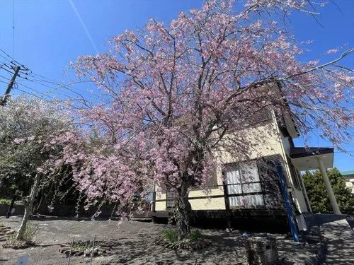 3LDK+2S Property Ito City Shizuoka Prefecture (5)