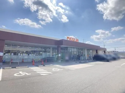 4LDK+S Toyota City, Aichi Prefecture (19)