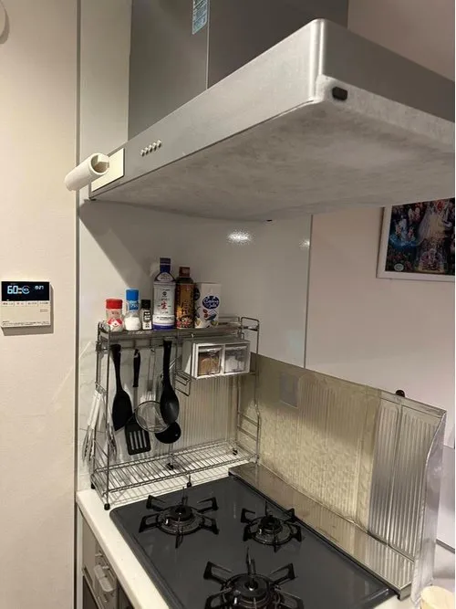 3LDK+S Inazawa City, Aichi Prefecture Property (10)