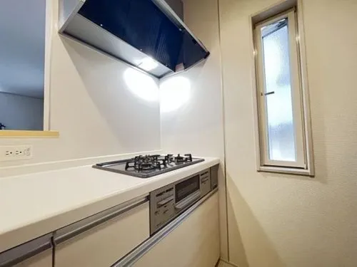 4LDK Property Toyota City Aichi Prefecture (10)
