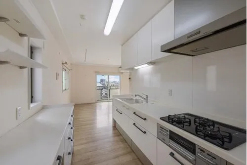 3LDK Property Nagoya City Aichi Prefecture (14)