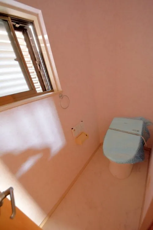 4DK Property Toyota City Aichi Prefecture (16)