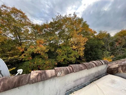 3LDK Property Nisshin City Aichi Prefecture (19)
