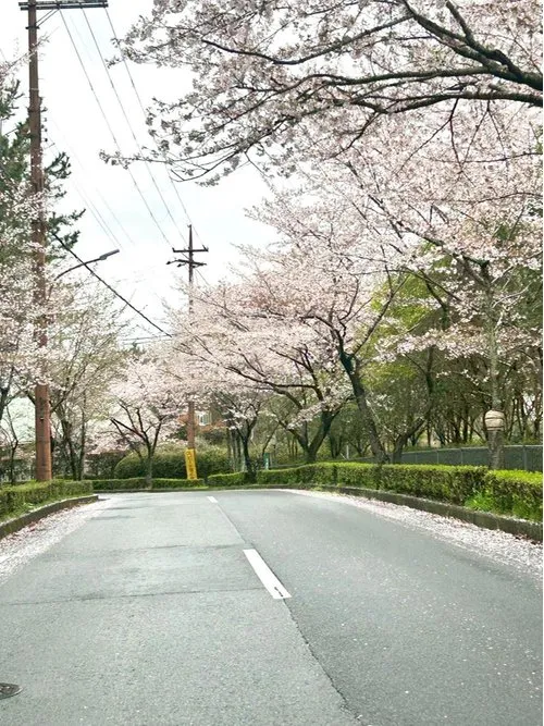 4LDK Property Otsu City Shiga Prefecture (15)