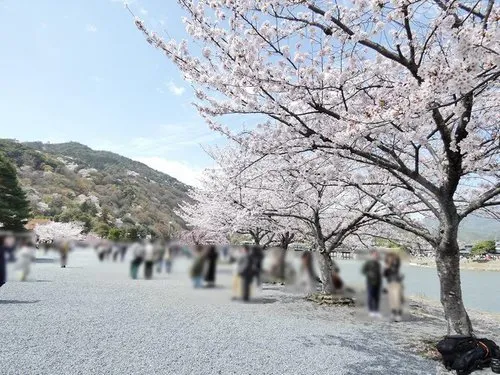 3LDK+S Property Kyoto City Kyoto Prefecture (9)