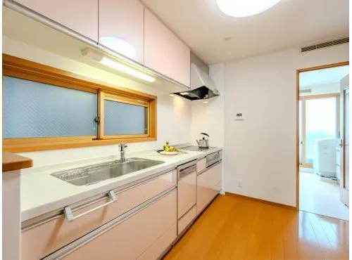 2LDK+S Property Osaka City Osaka Prefecture (11)