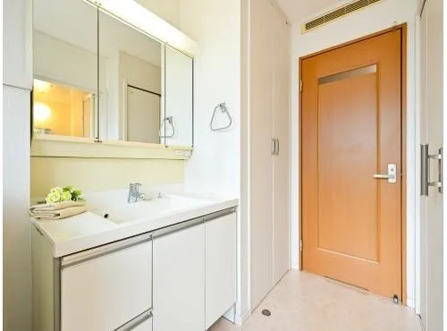 2LDK+S Property Osaka City Osaka Prefecture (13)