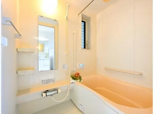 2LDK+S Property Osaka City Osaka Prefecture (15)