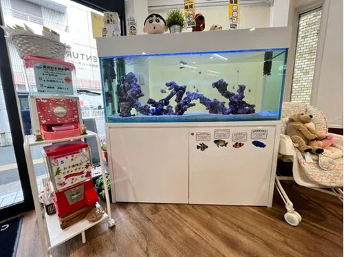 7DK Property Takatsuki City Osaka Prefecture (11)