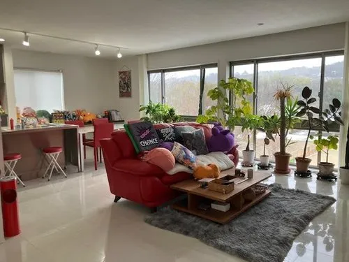 5LLDDKK+2S Property Kawachinagano City Osaka Prefecture (4)