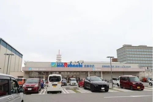 3LDK Property Amagasaki City Hyogo Prefecture (14)