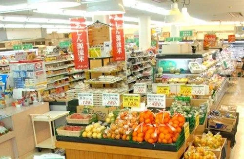 8DK Property Tsuyama City, Okayama Prefecture (13)