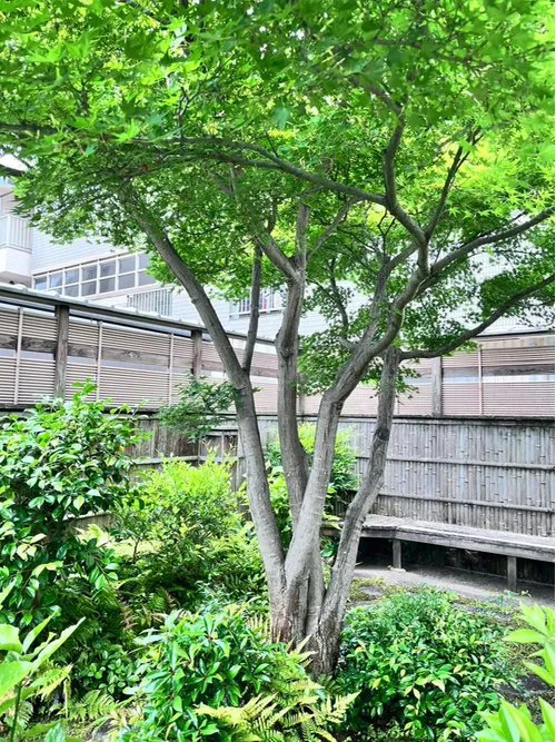 7DK Property Okayama City Okayama Prefecture (10)