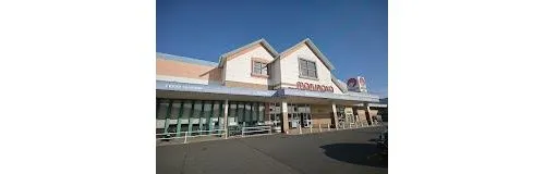 6DK Property Tamano City Okayama Prefecture (13)