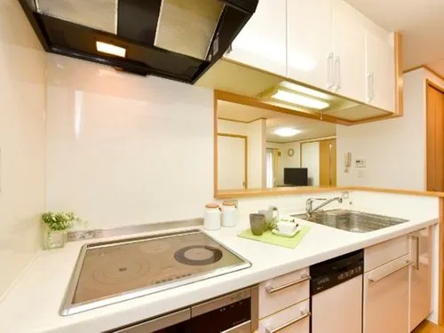 4LDK Property Hiroshima City Hiroshima Prefecture (15)