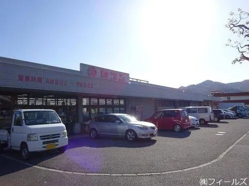 9LDK Property Tokushima City Tokushima Prefecture (10)