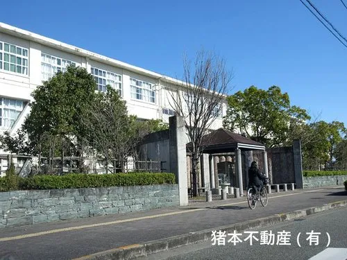 6DK+2S Tokushima City Tokushima Prefecture (15)