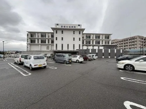 9LDK Property Matsuyama City Ehime Prefecture (27)