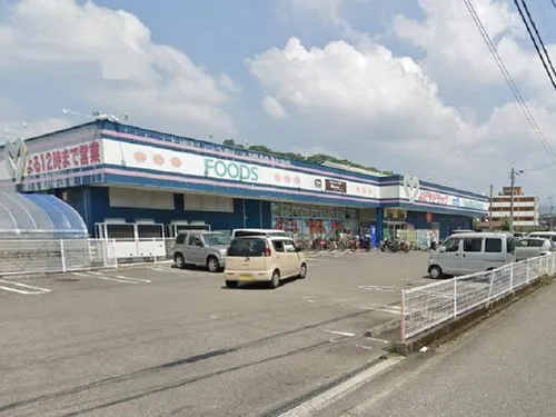 4LDK Kochi City Kochi Prefecture (17)