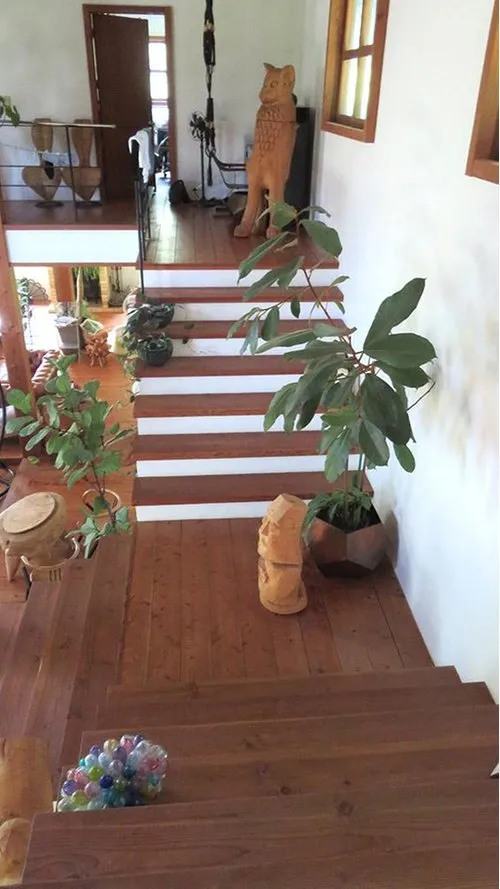2LDDKK+2S Property Itoshima City Fukuoka Prefecture (10)