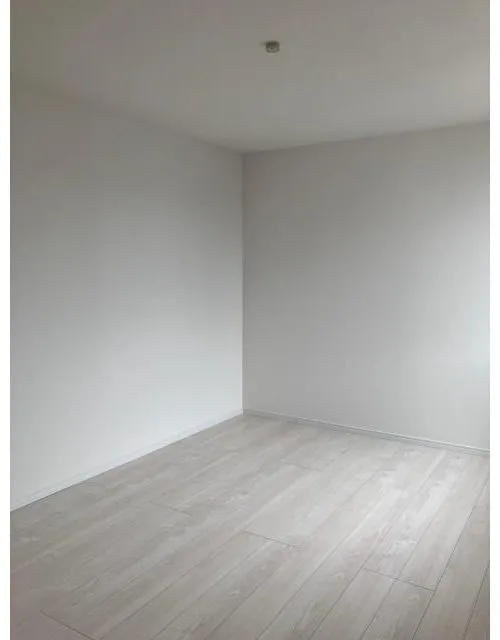 3LDK Property Isahaya City Nagasaki Prefecture (7)