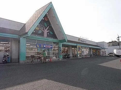 3LDK Property Oita City Oita Prefecture (19)