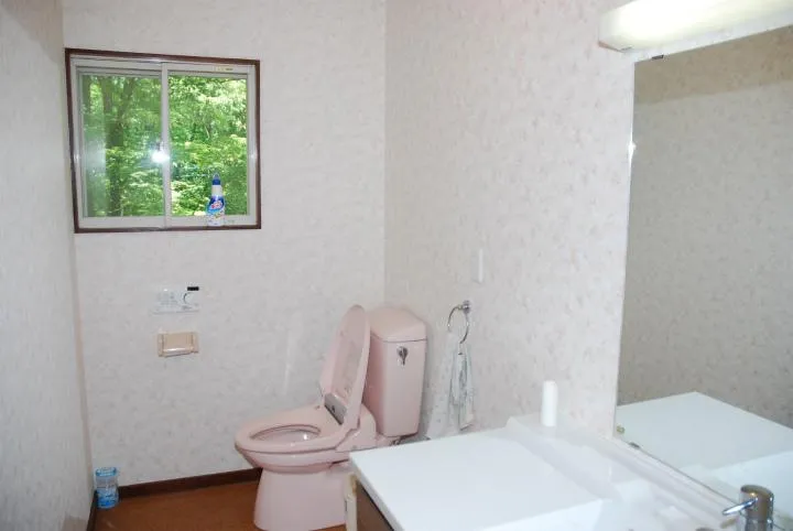 3LDK+S Property Agatsuma-gun Tsumagoi-mura Gunma Prefecture (23)