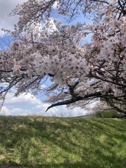 Tokyo Hamura City 4LDK Property (9)