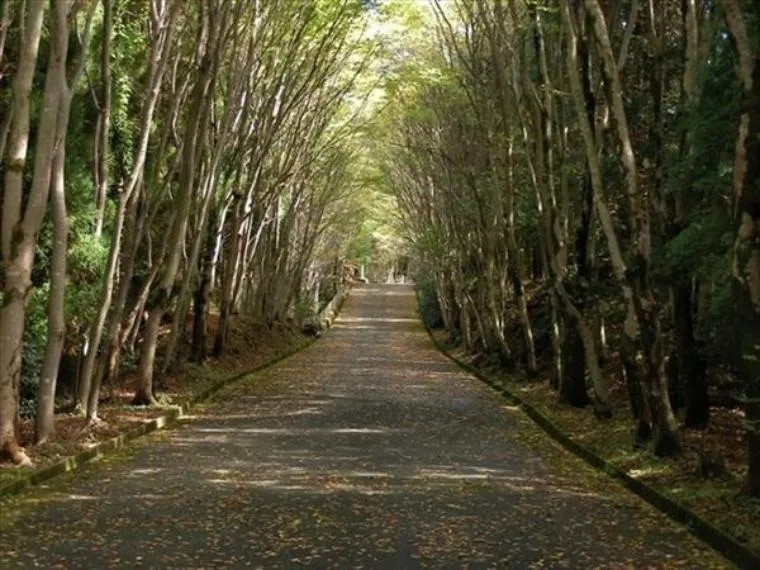 Kumamoto Prefecture Aso City 5LDK or more Property (13)