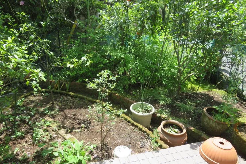 3LDK Property in Ito City, Shizuoka Prefecture (23)