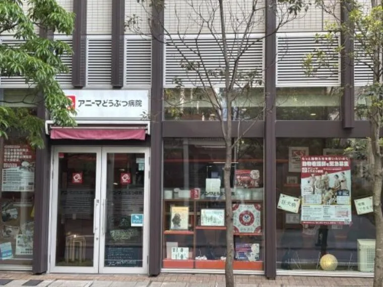 2DK Chuo Ward Tokyo (19)