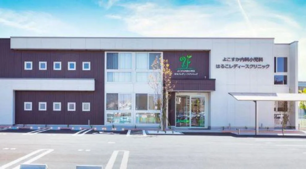 2K Property Kisarazu City Chiba Prefecture (18)