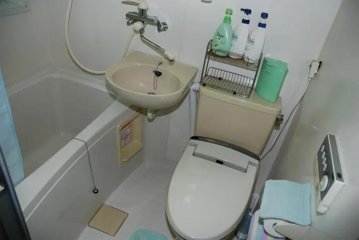 4LDK Property Tsumagoi-mura Gunma Prefecture (29)