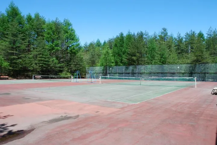 4LDK Property Tsumagoi-mura Gunma Prefecture (32)