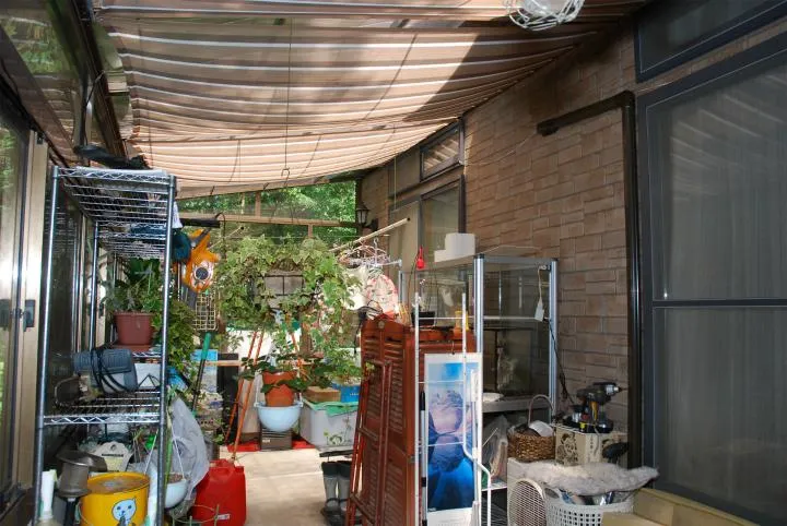 4LDK Property Tsumagoi-mura Gunma Prefecture (10)