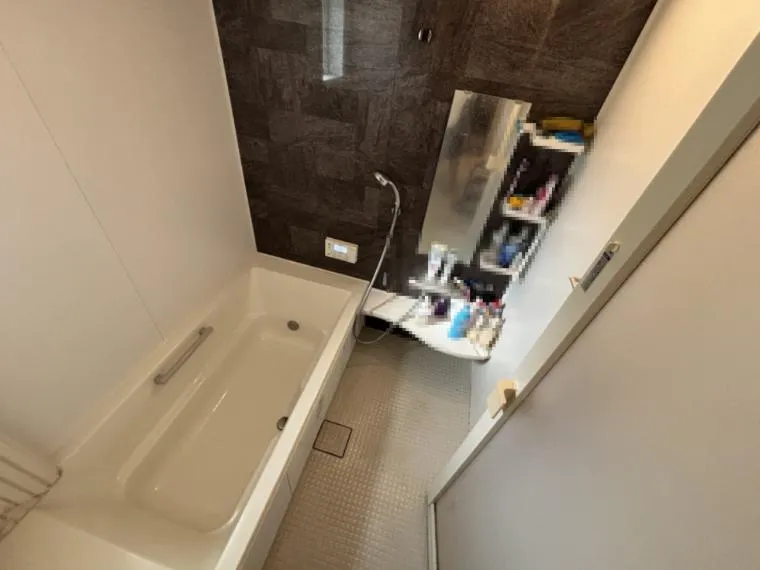 4LDK Property Yoshikawa City Saitama Prefecture (16)