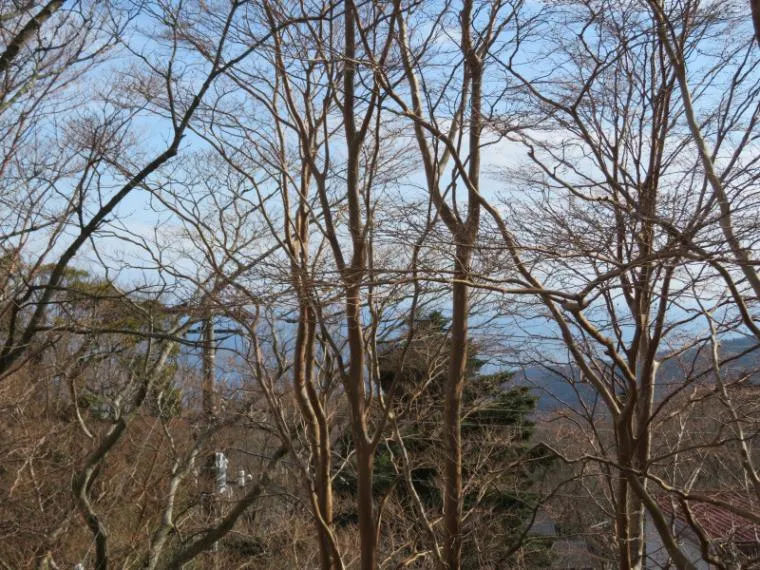 2LDK Property in Ito City, Shizuoka Prefecture (20)