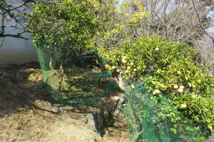 4LDK Property Ito City Shizuoka Prefecture (30)