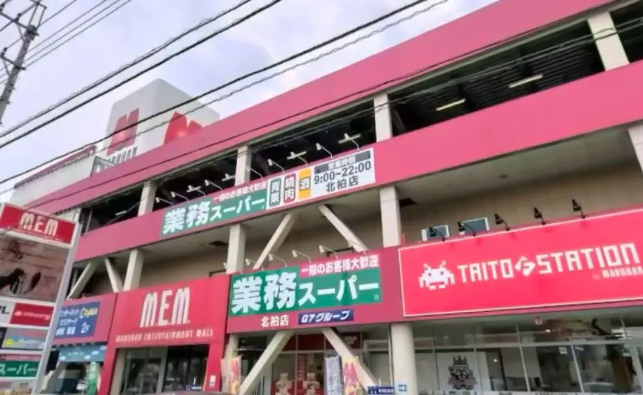 9LDK Property Kashiwa City Chiba Prefecture (7)