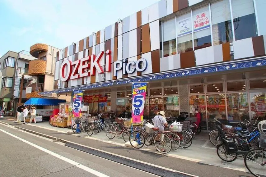 6LDK Setagaya-ku Tokyo (11)