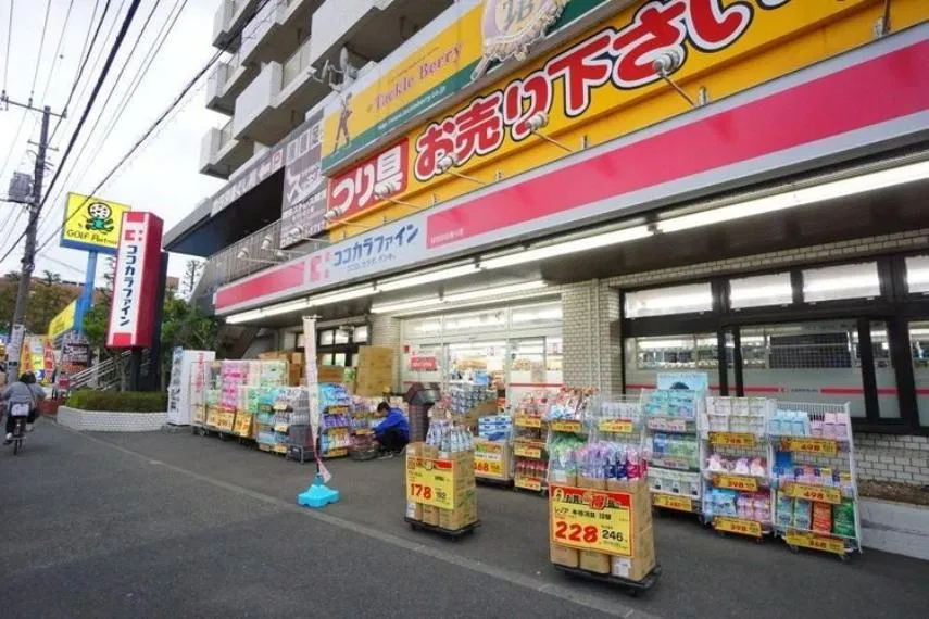 6LDK Setagaya-ku Tokyo (13)