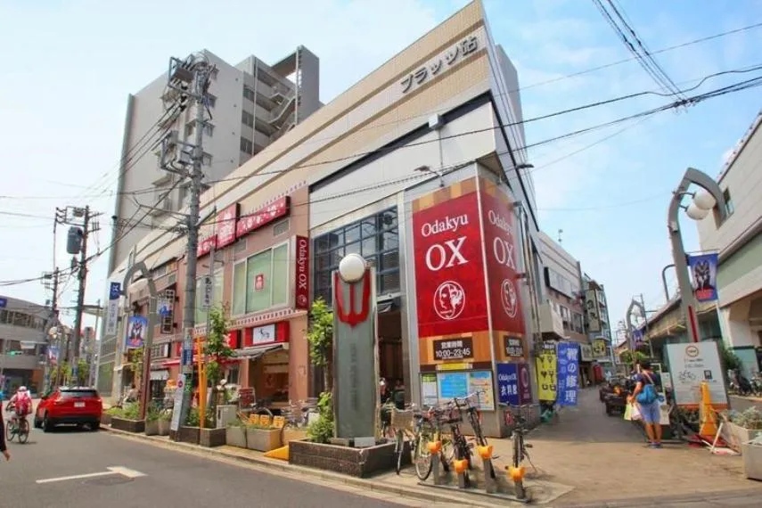 6LDK Setagaya-ku Tokyo (9)