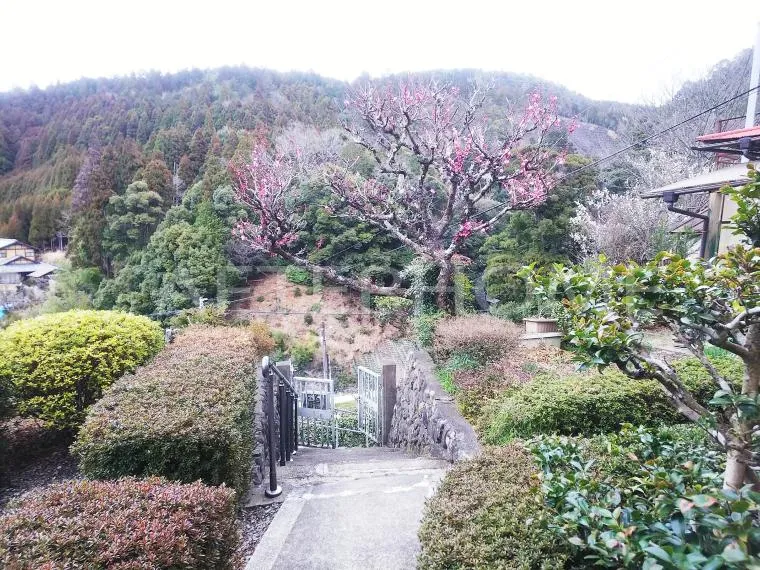 5DK Kyoto City Kyoto Prefecture (17)