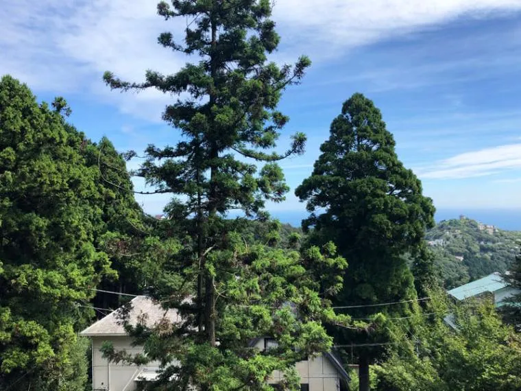 2LDK Property Atami City Shizuoka Prefecture (20)