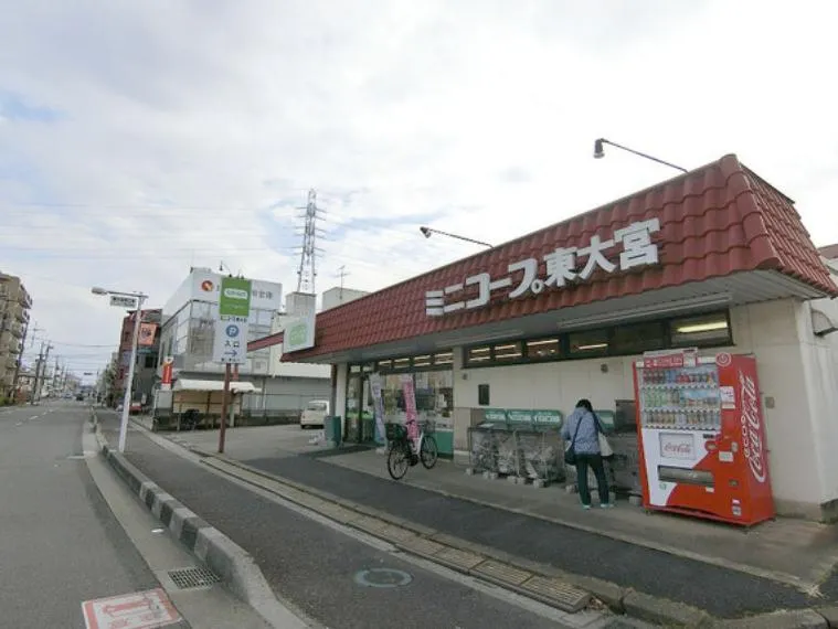 4LDK Property Ageo City Saitama Prefecture (10)