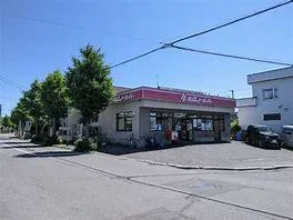 3LDK Property Sapporo City Hokkaido (23)