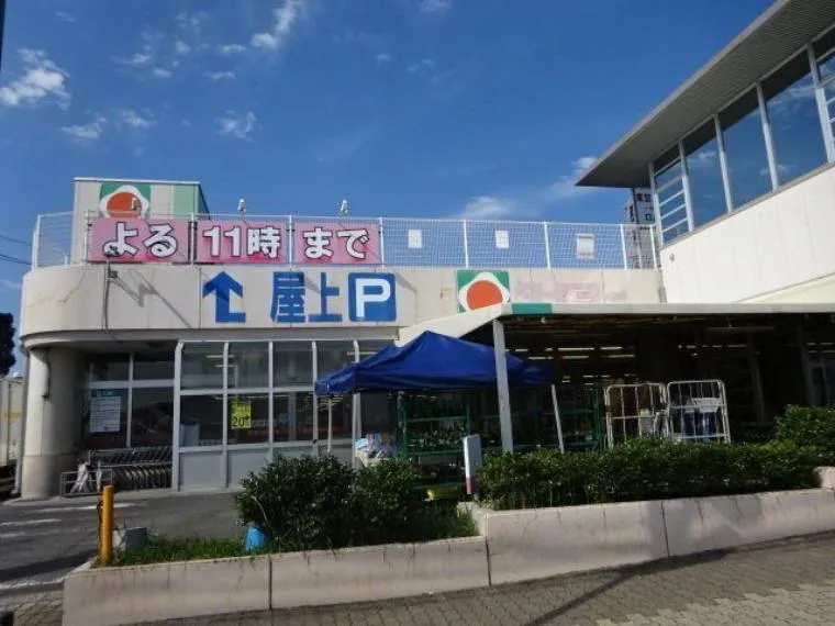 3LDK Kagoshima City Kagoshima Prefecture (4)