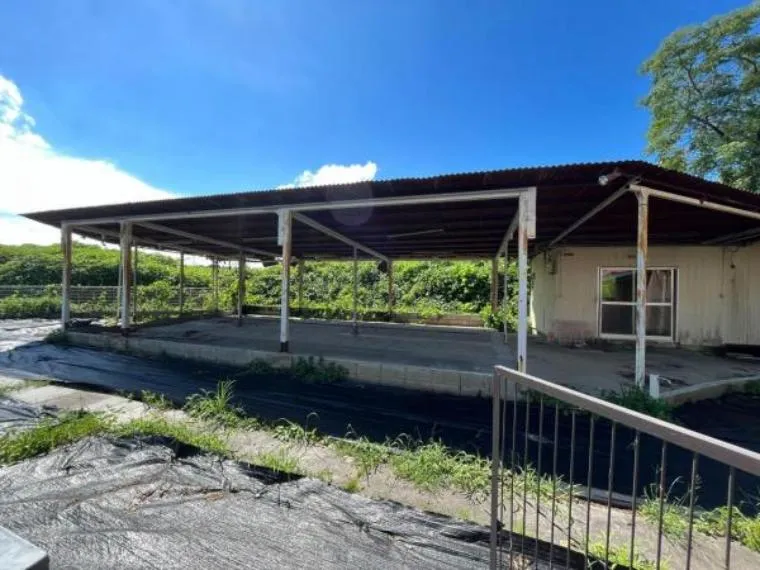 8DK Property Kumamoto City Kumamoto Prefecture (4)