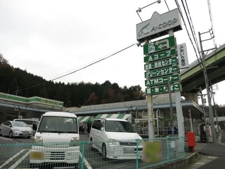 Aichi Prefecture Toyota City 4LDK Property (5)